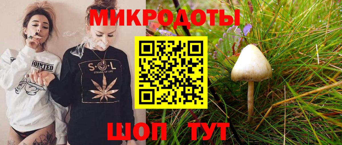 Галлюциногенные грибы Cubensis Мытищи
